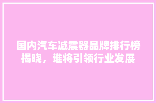 国内汽车减震器品牌排行榜揭晓，谁将引领行业发展