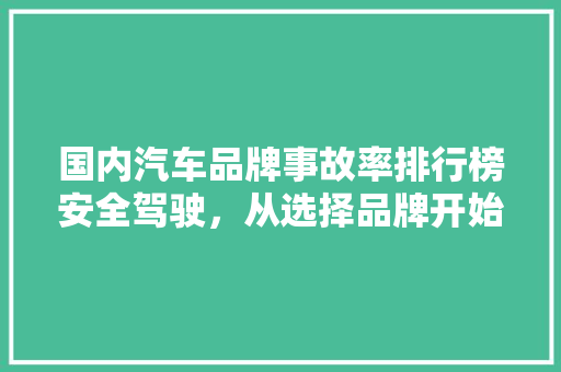 国内汽车品牌事故率排行榜安全驾驶，从选择品牌开始