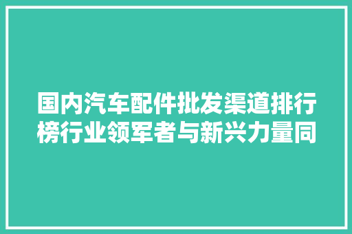 国内汽车配件批发渠道排行榜行业领军者与新兴力量同台竞技