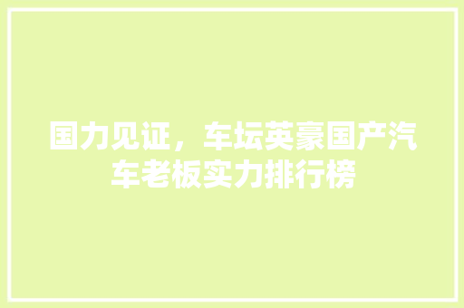 国力见证，车坛英豪国产汽车老板实力排行榜