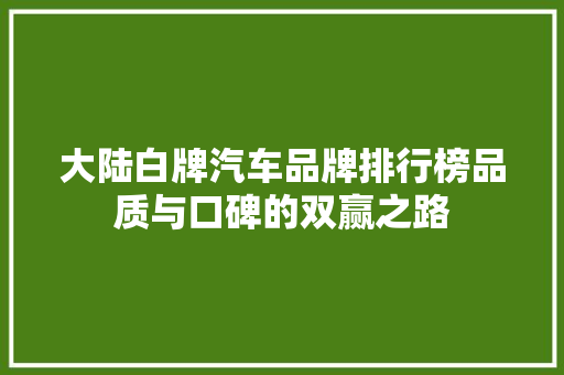 大陆白牌汽车品牌排行榜品质与口碑的双赢之路