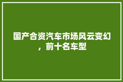 国产合资汽车市场风云变幻，前十名车型