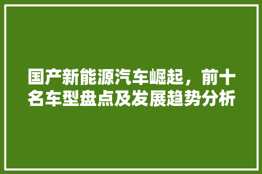 国产新能源汽车崛起，前十名车型盘点及发展趋势分析