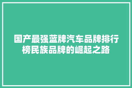 国产最强蓝牌汽车品牌排行榜民族品牌的崛起之路
