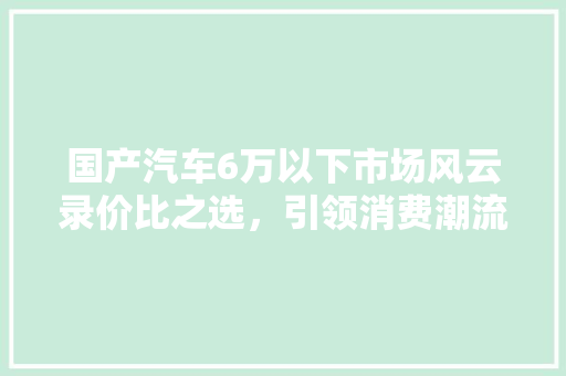 国产汽车6万以下市场风云录价比之选，引领消费潮流