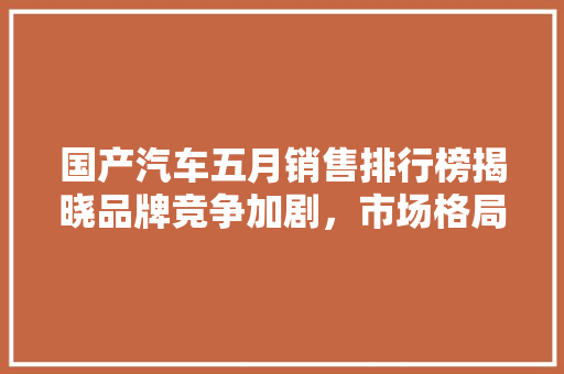 国产汽车五月销售排行榜揭晓品牌竞争加剧，市场格局逐渐成型