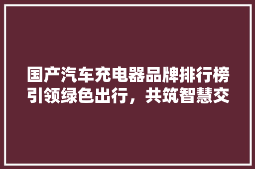 国产汽车充电器品牌排行榜引领绿色出行，共筑智慧交通