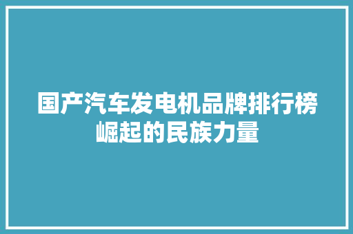 国产汽车发电机品牌排行榜崛起的民族力量