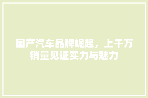 国产汽车品牌崛起，上千万销量见证实力与魅力