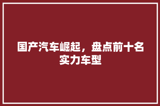 国产汽车崛起，盘点前十名实力车型