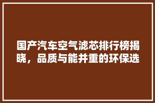国产汽车空气滤芯排行榜揭晓，品质与能并重的环保选择