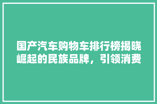 国产汽车购物车排行榜揭晓崛起的民族品牌，引领消费新潮流