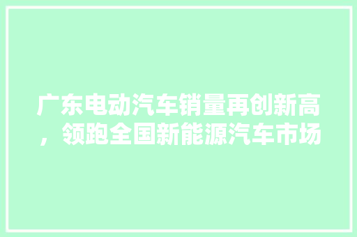 广东电动汽车销量再创新高，领跑全国新能源汽车市场