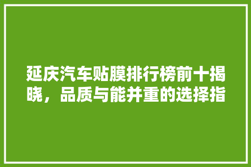 延庆汽车贴膜排行榜前十揭晓，品质与能并重的选择指南
