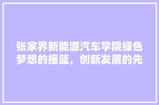 张家界新能源汽车学院绿色梦想的摇篮，创新发展的先锋