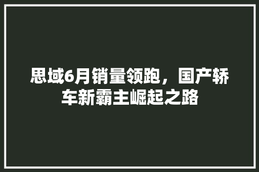 思域6月销量领跑，国产轿车新霸主崛起之路