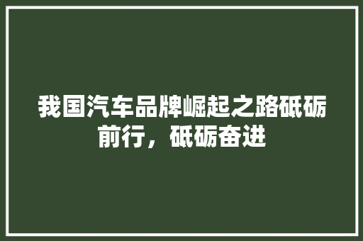 我国汽车品牌崛起之路砥砺前行，砥砺奋进