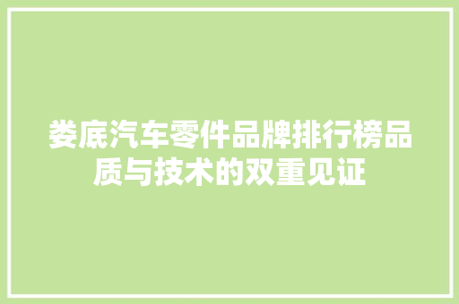 娄底汽车零件品牌排行榜品质与技术的双重见证