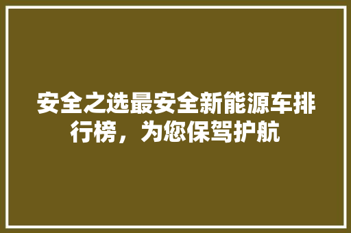 安全之选最安全新能源车排行榜，为您保驾护航