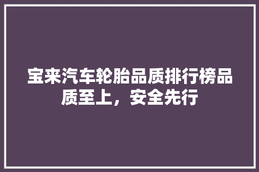 宝来汽车轮胎品质排行榜品质至上，安全先行
