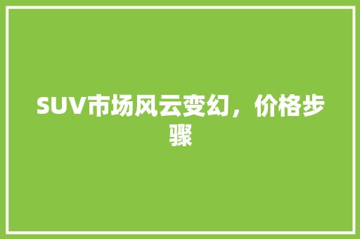 SUV市场风云变幻，价格步骤