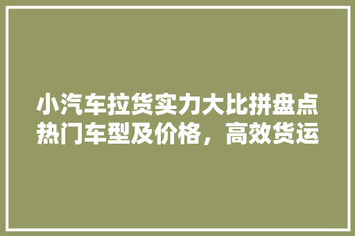 小汽车拉货实力大比拼盘点热门车型及价格，高效货运新选择