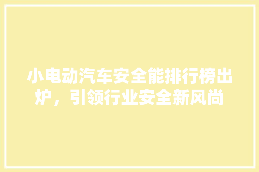 小电动汽车安全能排行榜出炉，引领行业安全新风尚