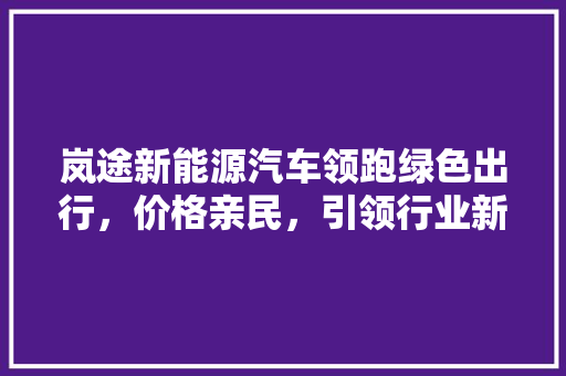 岚途新能源汽车领跑绿色出行，价格亲民，引领行业新风尚