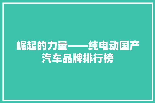 崛起的力量——纯电动国产汽车品牌排行榜