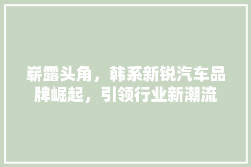 崭露头角，韩系新锐汽车品牌崛起，引领行业新潮流