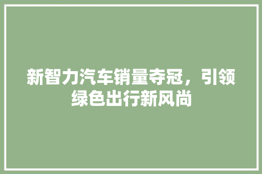 新智力汽车销量夺冠，引领绿色出行新风尚