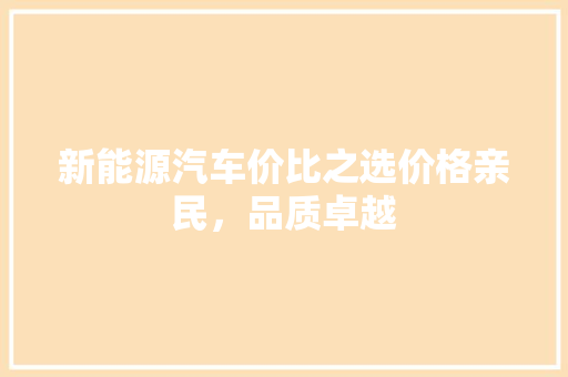 新能源汽车价比之选价格亲民，品质卓越