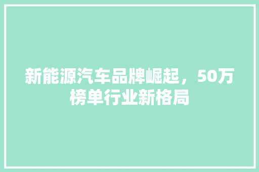 新能源汽车品牌崛起，50万榜单行业新格局