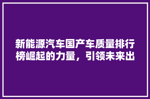 新能源汽车国产车质量排行榜崛起的力量，引领未来出行