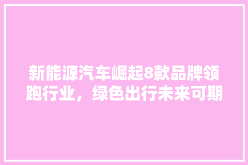 新能源汽车崛起8款品牌领跑行业，绿色出行未来可期