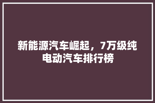 新能源汽车崛起，7万级纯电动汽车排行榜