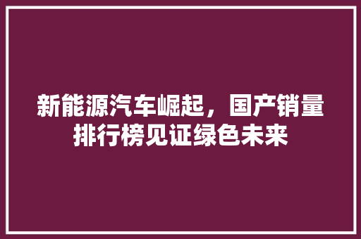 新能源汽车崛起，国产销量排行榜见证绿色未来