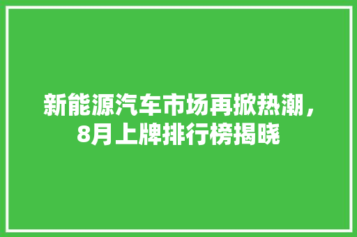 新能源汽车市场再掀热潮，8月上牌排行榜揭晓