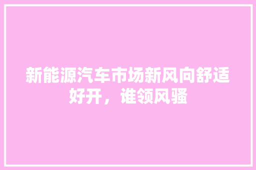 新能源汽车市场新风向舒适好开，谁领风骚