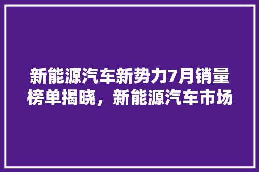 新能源汽车新势力7月销量榜单揭晓，新能源汽车市场迎来全新格局