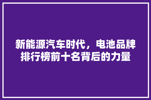 新能源汽车时代，电池品牌排行榜前十名背后的力量