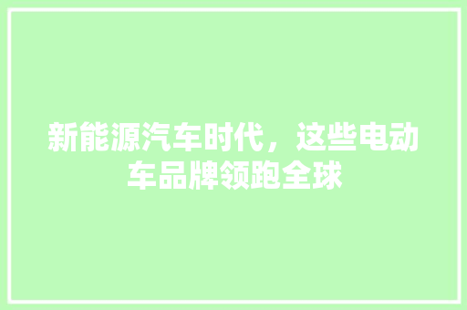 新能源汽车时代，这些电动车品牌领跑全球