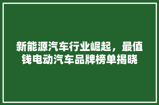新能源汽车行业崛起，最值钱电动汽车品牌榜单揭晓