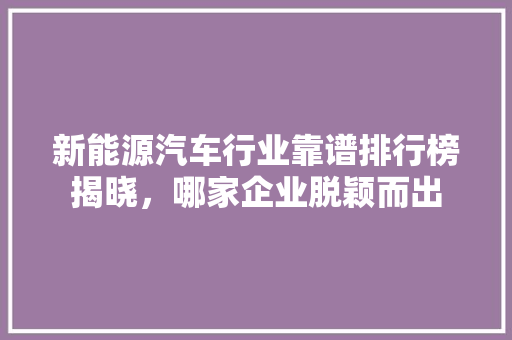 新能源汽车行业靠谱排行榜揭晓，哪家企业脱颖而出