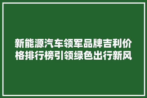 新能源汽车领军品牌吉利价格排行榜引领绿色出行新风尚