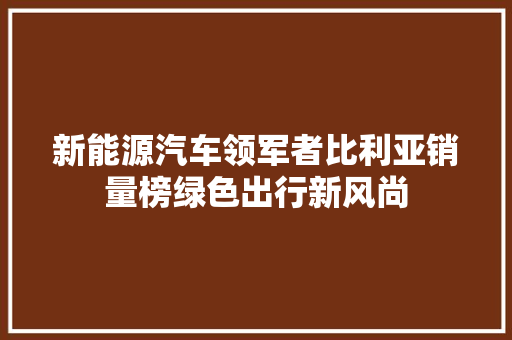 新能源汽车领军者比利亚销量榜绿色出行新风尚