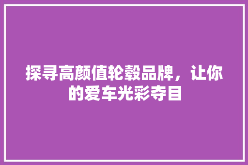 探寻高颜值轮毂品牌，让你的爱车光彩夺目