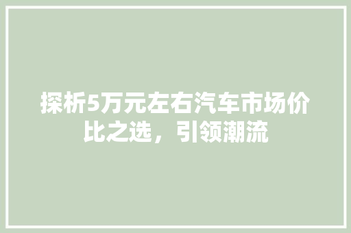探析5万元左右汽车市场价比之选，引领潮流