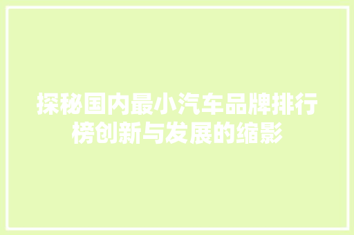 探秘国内最小汽车品牌排行榜创新与发展的缩影
