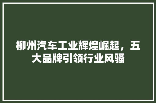 柳州汽车工业辉煌崛起，五大品牌引领行业风骚